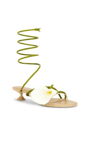 Claire Sandal in Green,White. - size 36 (also in 37.5) - Cult Gaia - Modalova