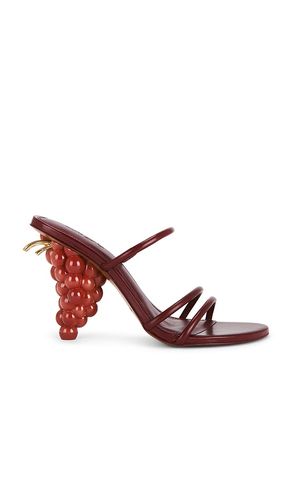 SANDALE GRAPE in . Größe 37. Also in 37.5, 38 - Cult Gaia - Modalova