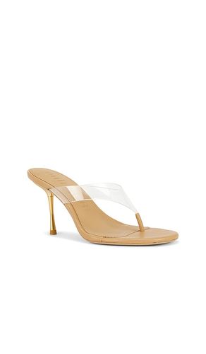 SANDALE STELLA in . Größe 37. Also in 37.5, 38.5, 39.5 - Cult Gaia - Modalova
