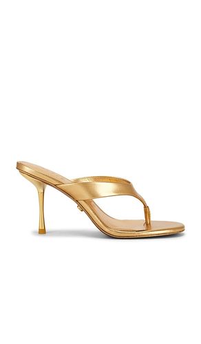 HIGH HEELS STELLA in . Größe 38. Also in 38.5, 39 - Cult Gaia - Modalova