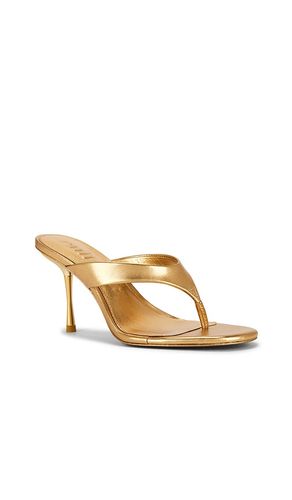 HIGH HEELS STELLA in . Größe 38. Also in 38.5, 39 - Cult Gaia - Modalova