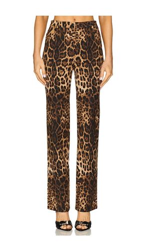 Killa Pants in . - size L (also in M, XS, XXS) - CULTNAKED - Modalova
