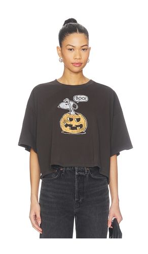 SHIRT PEANUTS SPOOKY PUMPKIN in - DAYDREAMER - Modalova
