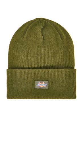 Dickies BEANIE in Green - Dickies - Modalova