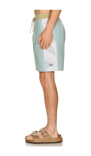 BOARDSHORTS in . Größe 30. Also in 32, 34, 36 - Dark Seas - Modalova
