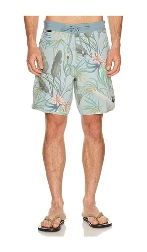 BOARDSHORTS in . Größe 30. Also in 34, 36 - Dark Seas - Modalova