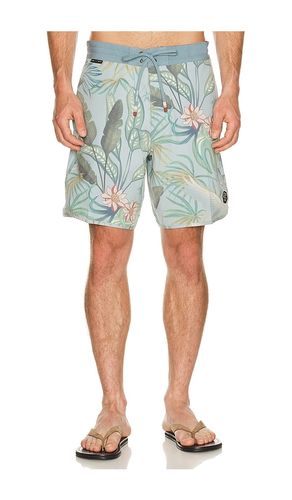 Sennit Boardshort in . Taglia 30. Also in 34, 36 - Dark Seas - Modalova