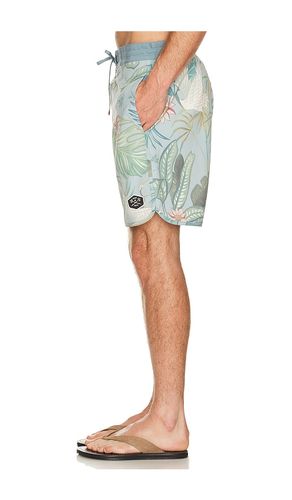 BOARDSHORTS in . Größe 30. Also in 34, 36 - Dark Seas - Modalova