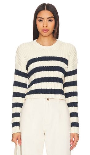 Striped Ribbed Cropped Sweater in Ivory. - size L (also in M, S) - Denimist - Modalova