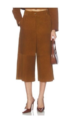Amiya Pants in . Size L. Also in M, S - Dodiee - Modalova