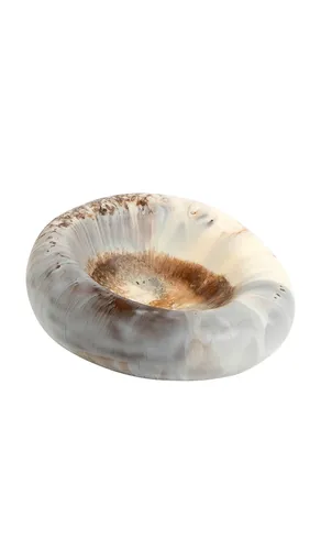 Medium Drift Dish in Brown - DINOSAUR DESIGNS - Modalova