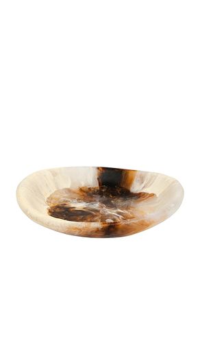 Medium Bones Bowl in Brown - DINOSAUR DESIGNS - Modalova