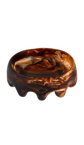 Dish crown en color marrón talla all - DINOSAUR DESIGNS - Modalova