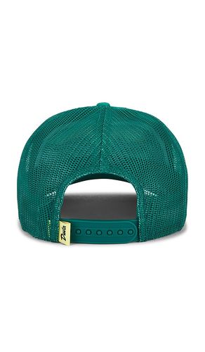 In Training Golf Hat in - Duvin Design - Modalova