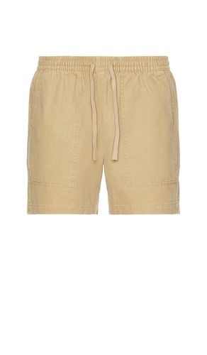 Leisure Walk Shorts in Brown. - size M (also in S, XL/1X) - Duvin Design - Modalova