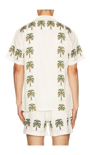 HEMD COCONUT in . Größe L. Also in M, S, XL/1X - Duvin Design - Modalova