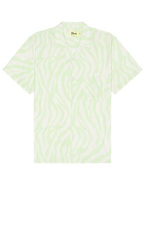 Zebra Shirt in Green. - size L (also in M, S, XL/1X) - Duvin Design - Modalova