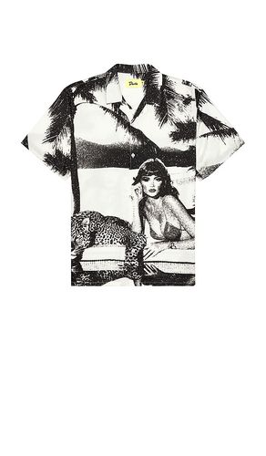 Pool Cat Buttonup Shirt in . - size L (also in M, S, XL/1X) - Duvin Design - Modalova
