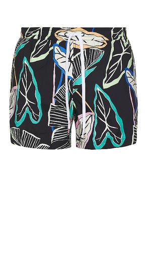 Neon Palm Swim Short in . - size L (also in M, S, XL) - Duvin Design - Modalova