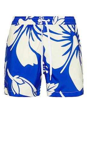 Trouble in Paradise Swim Short in . - size L (also in XL/1X) - Duvin Design - Modalova