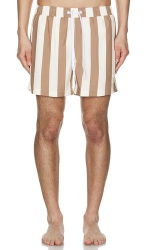 SHORTS TRAVELER in . Größe M. Also in XL/1X - Duvin Design - Modalova