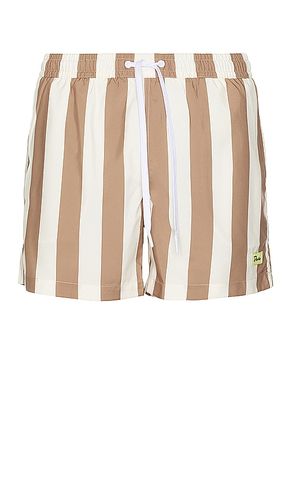 Traveler Swim Short in . - size M (also in S, XL/1X) - Duvin Design - Modalova