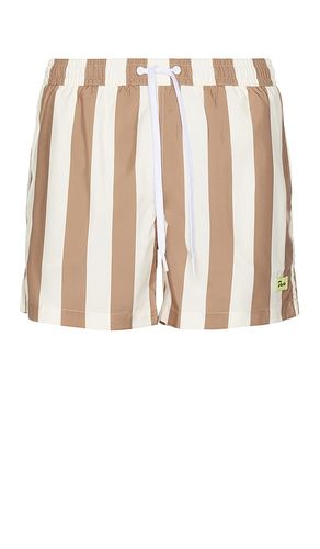 SHORTS TRAVELER in . Größe S. Also in M, XL/1X - Duvin Design - Modalova