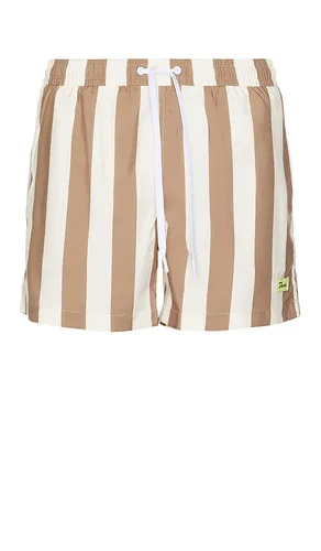 Traveler Swim Short in . Size M. Also in XL/1X - Duvin Design - Modalova