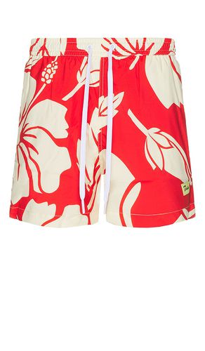 Trouble in Paradise Swim Short in . - size L (also in S, XL/1X) - Duvin Design - Modalova