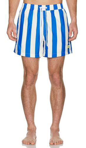 SHORTS TRAVELER in . Größe L. Also in M, S, XL/1X - Duvin Design - Modalova