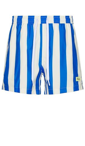 SHORTS TRAVELER in . Größe L. Also in M, S, XL/1X - Duvin Design - Modalova