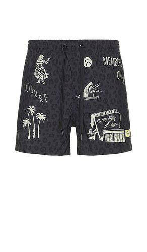 Stamp Swim Short in . - size S (also in XL/1X) - Duvin Design - Modalova