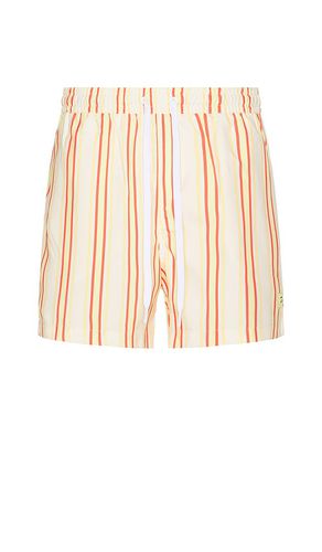 Stripe Swim Short in Orange. - size L (also in M, XL/1X) - Duvin Design - Modalova