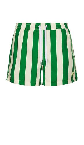 Traveler Swim Shorts in . Size S. Also in M - Duvin Design - Modalova