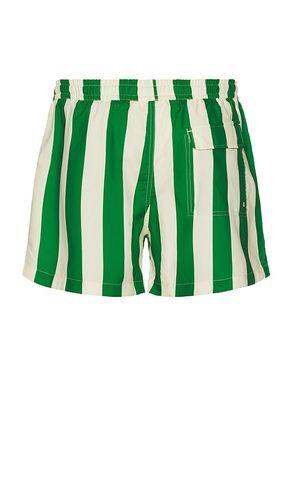 Traveler Swim Shorts in . Size S. Also in M - Duvin Design - Modalova