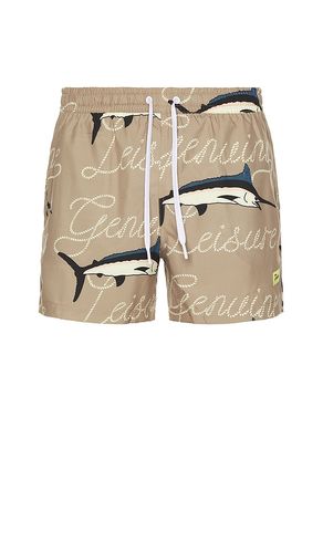 Dolphin Leisure Swim Shorts in . - size L (also in XL/1X) - Duvin Design - Modalova