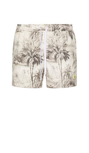 Tropical Swim Shorts in Brown. - size L (also in M, S) - Duvin Design - Modalova