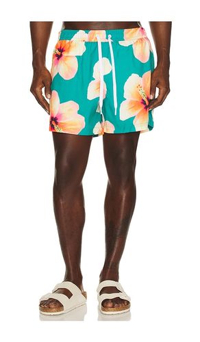 SHORTS in . Größe S. Also in XL/1X - Duvin Design - Modalova