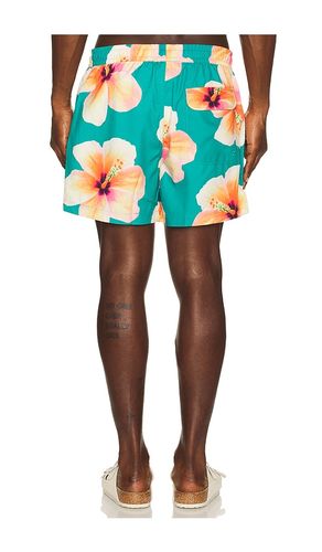 SHORTS in . Größe S. Also in M, L, XL/1X - Duvin Design - Modalova