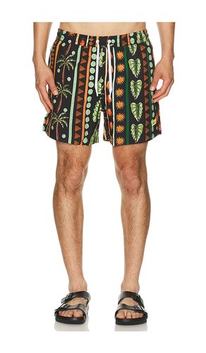 BADESHORTS JUNGLE in . Größe S. Also in M, L, XL/1X - Duvin Design - Modalova