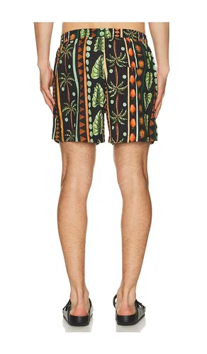 Jungle Swim Shorts in . Size L. Also in M, S, XL/1X - Duvin Design - Modalova
