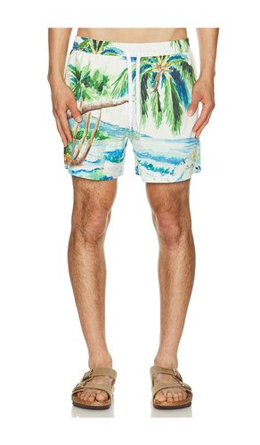 BADESHORTS POSTCARD in . Größe L. Also in M, XL/1X - Duvin Design - Modalova
