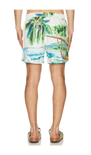 BADESHORTS POSTCARD in . Größe L. Also in M, XL/1X - Duvin Design - Modalova