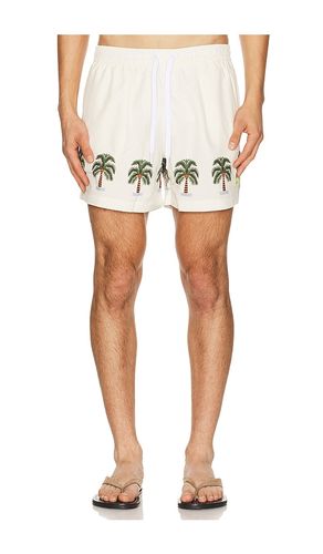 Coconut Swim Short in White. - size L (also in M, S, XL/1X) - Duvin Design - Modalova