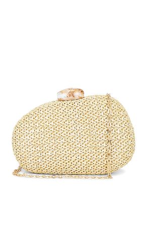 Dionne Raffia Box Clutch in - Dolce Vita - Modalova