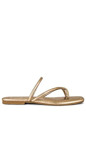 Leanna Sandal in Metallic Gold. - size 6.5 (also in 7, 7.5, 8, 9) - Dolce Vita - Modalova