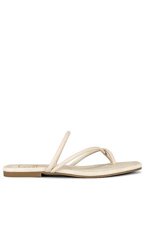 Leanna Sandal in . - size 6 (also in 6.5, 7, 7.5, 8, 8.5, 9, 9.5) - Dolce Vita - Modalova