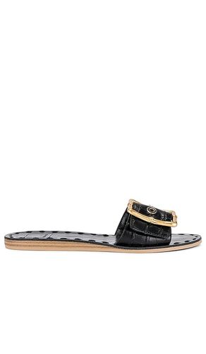 Dasa Slide in Black. - size 6 (also in 6.5) - Dolce Vita - Modalova