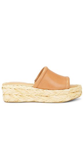 Chavi Sandal in Tan. - size 10 (also in 6.5, 7, 7.5, 8, 8.5, 9, 9.5) - Dolce Vita - Modalova