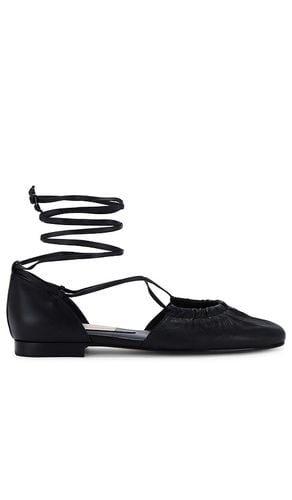 Cancun Flat in Black. - size 6 (also in 6.5, 7, 7.5) - Dolce Vita - Modalova